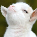 สมาชิกหมายเลข 2118980