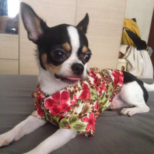 สมาชิกหมายเลข 2529924