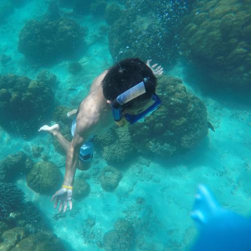 สมาชิกหมายเลข 4526597