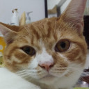 สมาชิกหมายเลข 2538896