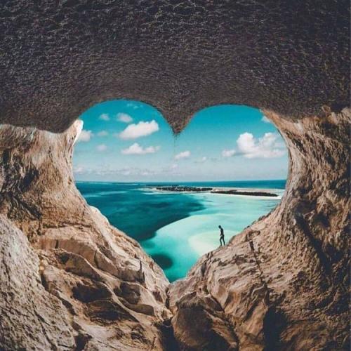 สมาชิกหมายเลข 5232269