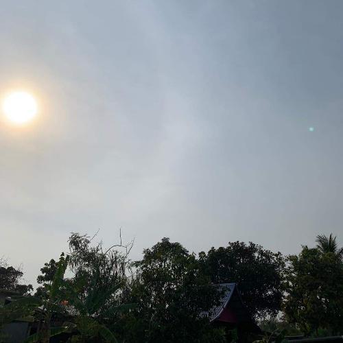 สมาชิกหมายเลข 5683676