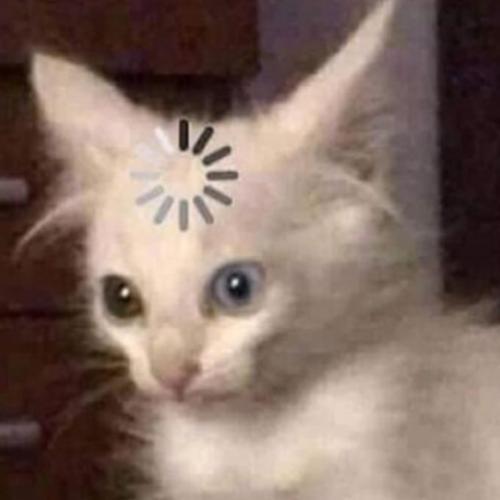 สมาชิกหมายเลข 5943027