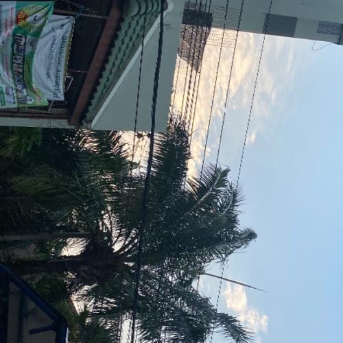 สมาชิกหมายเลข 8648853