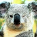 สมาชิกหมายเลข 3625104