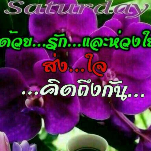 สมาชิกหมายเลข 2544895