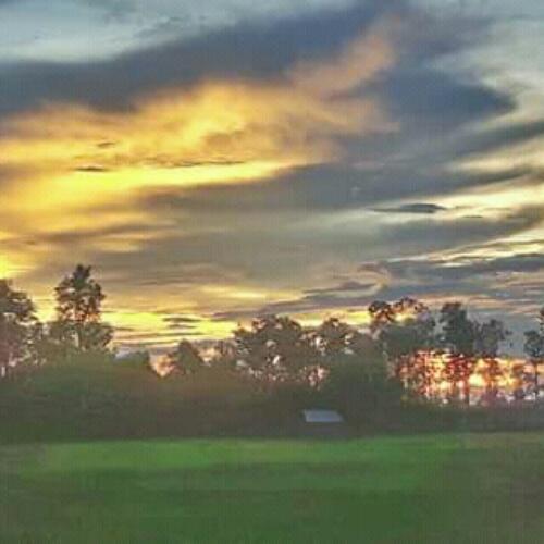 สมาชิกหมายเลข 4865396