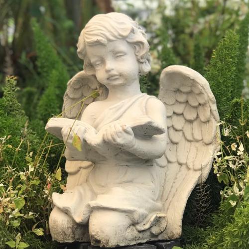 สมาชิกหมายเลข 778697