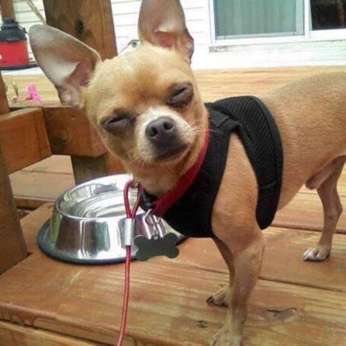 สมาชิกหมายเลข 2094023