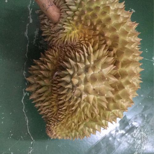 สมาชิกหมายเลข 4125595