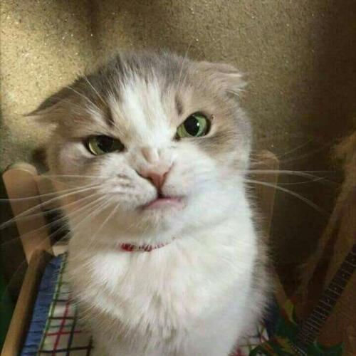 สมาชิกหมายเลข 5689632