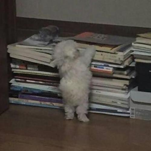 สมาชิกหมายเลข 3549596