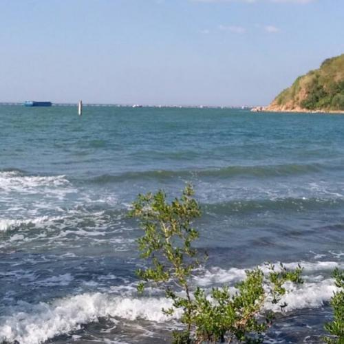 สมาชิกหมายเลข 6273107