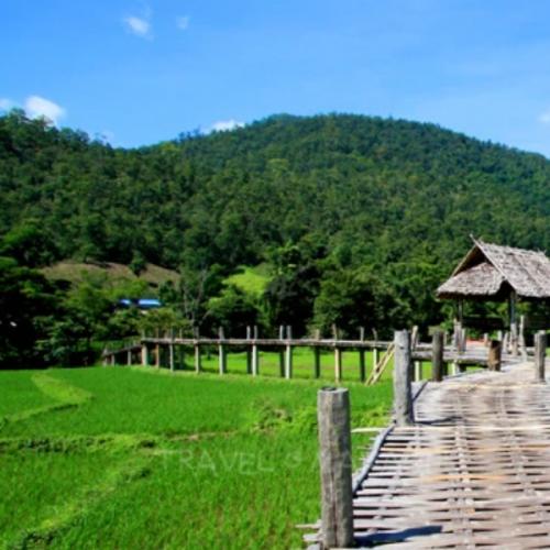 สมาชิกหมายเลข 6273123