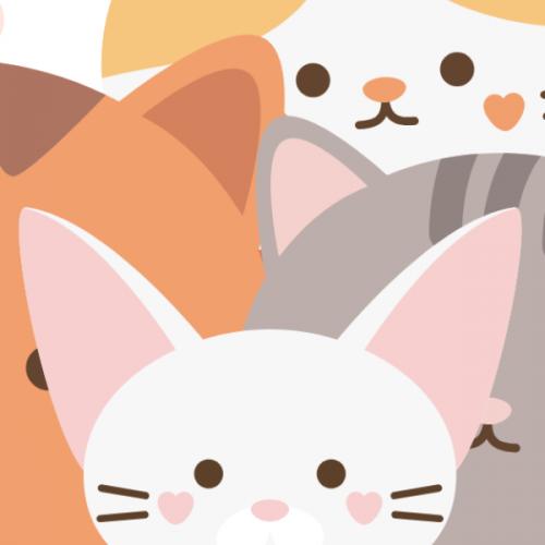 สมาชิกหมายเลข 7681497