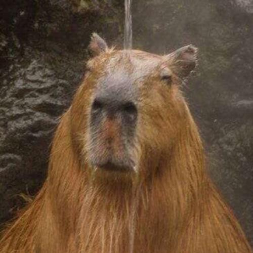 สมาชิกหมายเลข 8358278