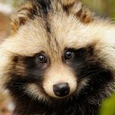 สมาชิกหมายเลข 3625569