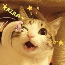 The Cat Servant