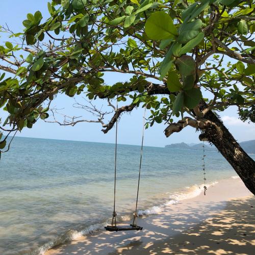 สมาชิกหมายเลข 3646516