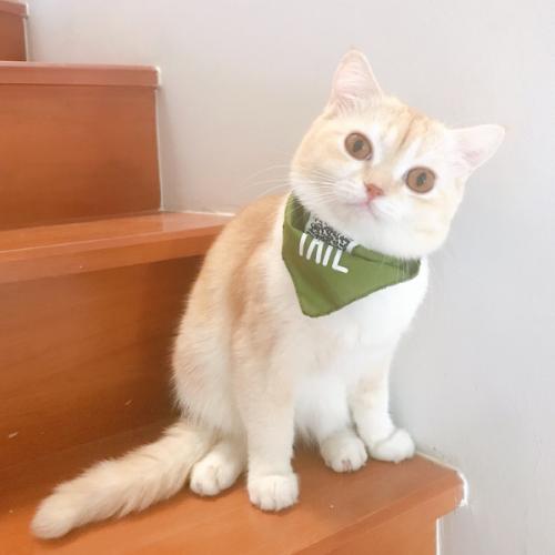 สมาชิกหมายเลข 3896454