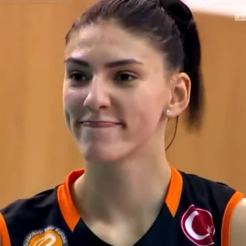 สมาชิกหมายเลข 4036808