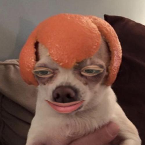 สมาชิกหมายเลข 6934840