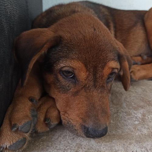 สมาชิกหมายเลข 6934953