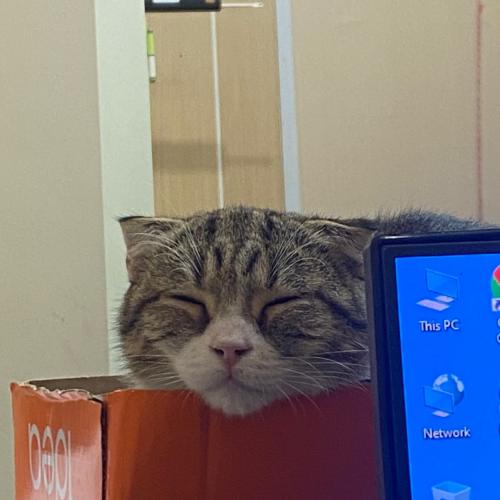 สมาชิกหมายเลข 3802973