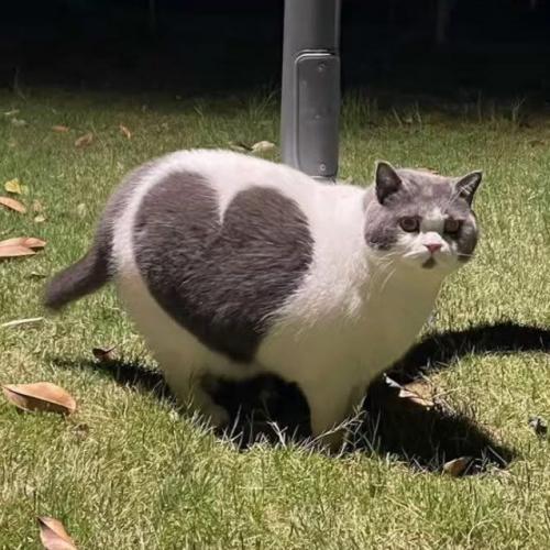 สมาชิกหมายเลข 5378599