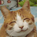 สมาชิกหมายเลข 5245804