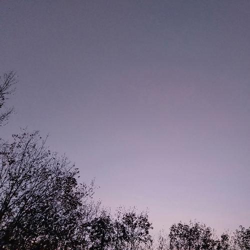 สมาชิกหมายเลข 5079731