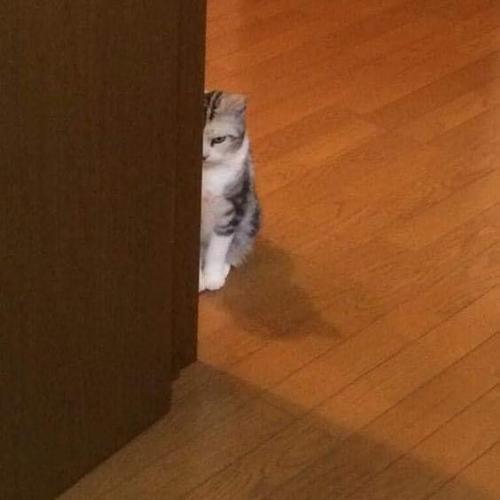 สมาชิกหมายเลข 6274395