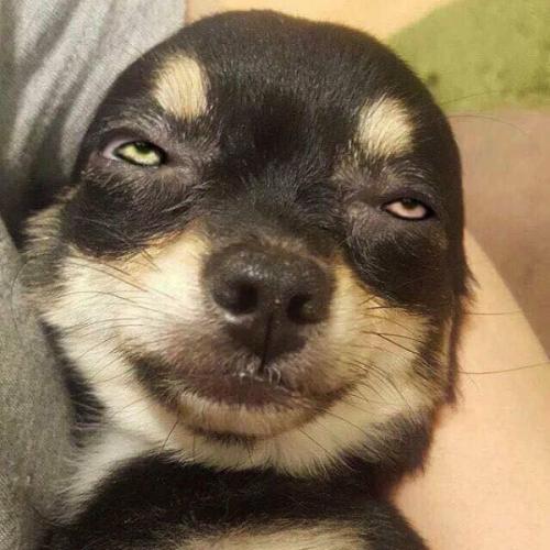 สมาชิกหมายเลข 6934387