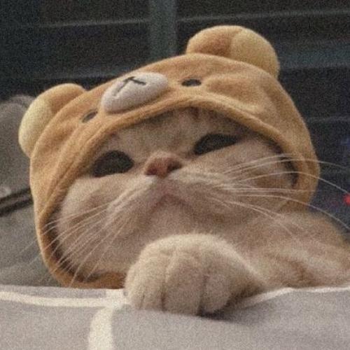 สมาชิกหมายเลข 6936046