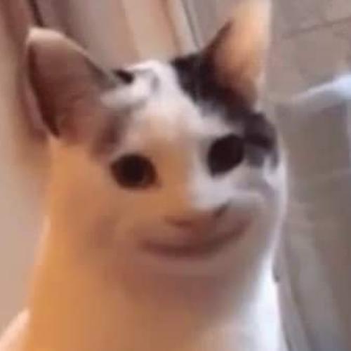 สมาชิกหมายเลข 5029324