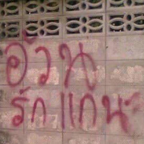 สมาชิกหมายเลข 7428191