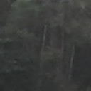 โมริชิตะอากาเนะ