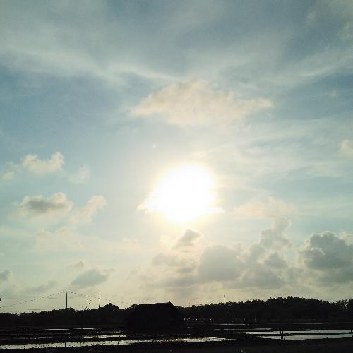 สมาชิกหมายเลข 4527759