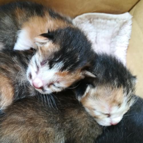 สมาชิกหมายเลข 4865974