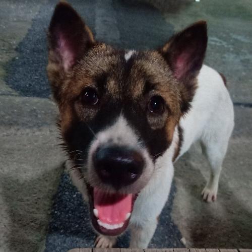 สมาชิกหมายเลข 2418475