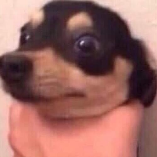 สมาชิกหมายเลข 4375843