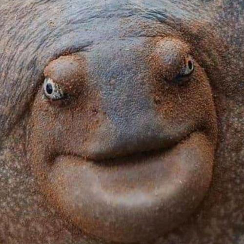 สมาชิกหมายเลข 5566316