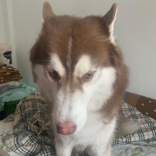 สมาชิกหมายเลข 4952368