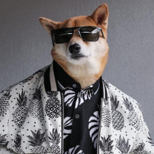 สมาชิกหมายเลข 6395843