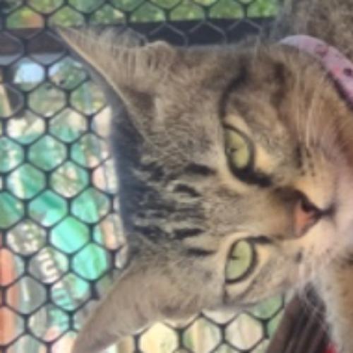 สมาชิกหมายเลข 6936038