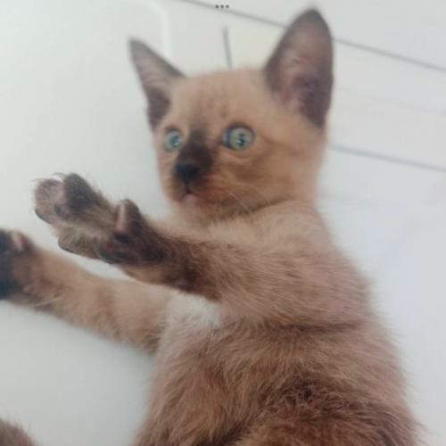 สมาชิกหมายเลข 2535166