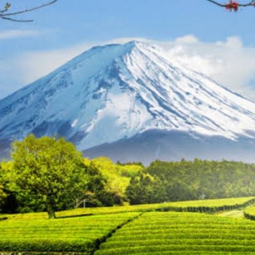 สมาชิกหมายเลข 7528539