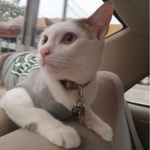 สมาชิกหมายเลข 3128302