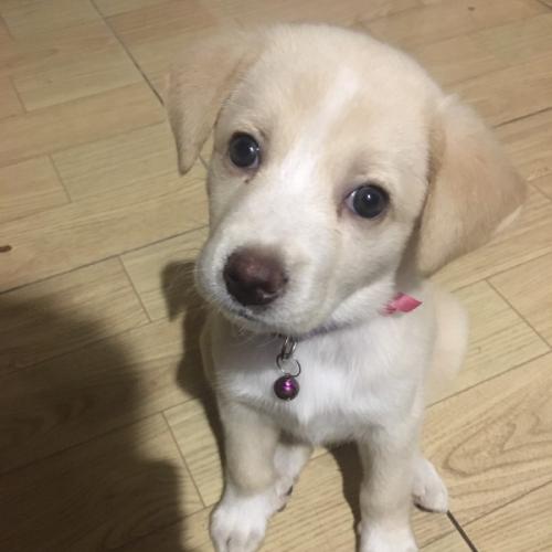 สมาชิกหมายเลข 5821753