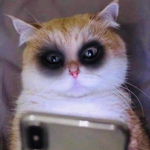 สมาชิกหมายเลข 6937751